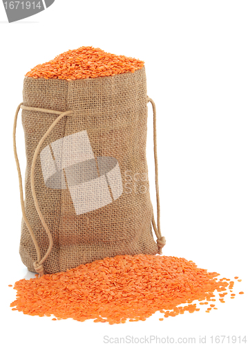 Image of Red Lentils