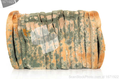 Image of Mouldy Sliced Bread