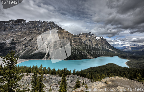 Image of Peyto Lake Alberta Canada