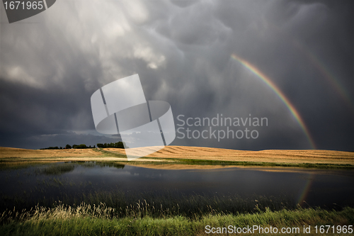 Image of Saskatchewan Storm Rainbow 