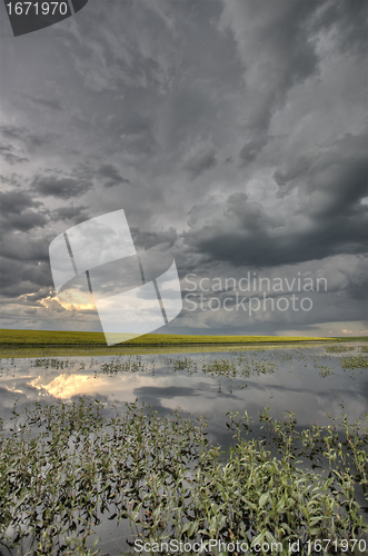 Image of Slough pond and crop