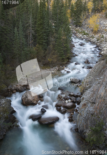 Image of Athabasca River Rocky Mountains
