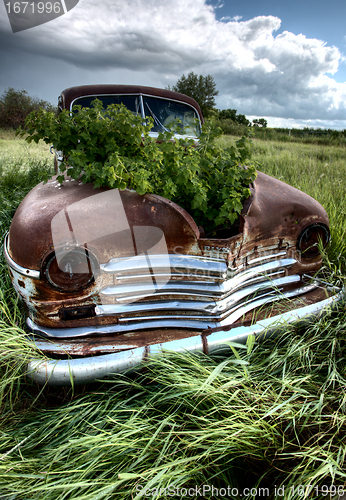 Image of Vintage Farm Trucks