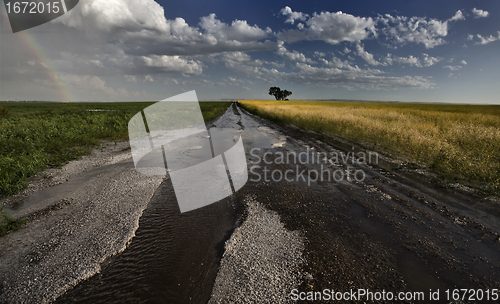 Image of Prairie Road Storm Clouds