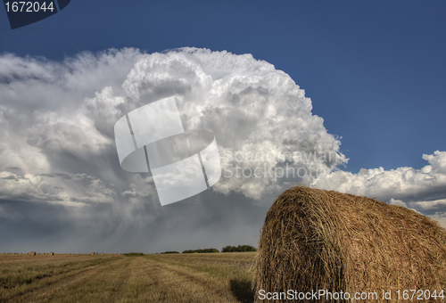 Image of Prairie Road Storm Clouds