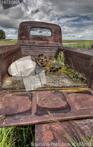 Image of Vintage Farm Trucks