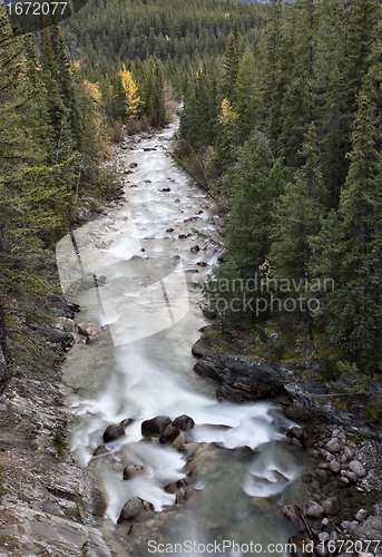 Image of Athabasca River Rocky Mountains