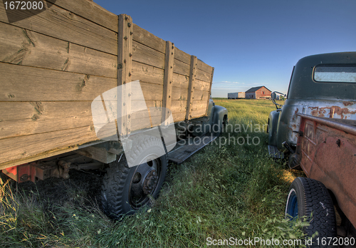 Image of Vintage Farm Trucks