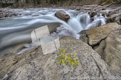 Image of Sunwapta Waterfall Alberta Canada