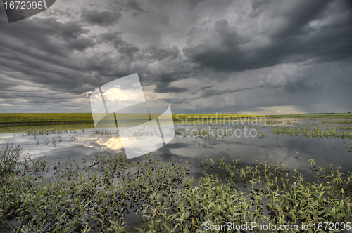 Image of Slough pond and crop