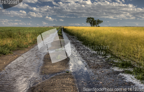 Image of Prairie Road Storm Clouds