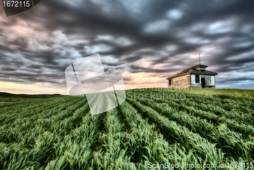 Image of Newly planted crop