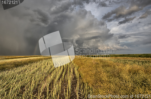 Image of Stubble Field and Prarie Storm