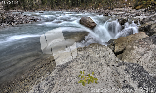 Image of Sunwapta Waterfall Alberta Canada