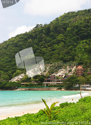 Image of Tropical paradise holiday homes