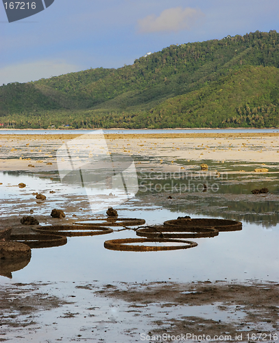 Image of Beach scene