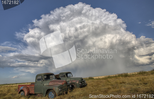 Image of Vintage Farm Trucks