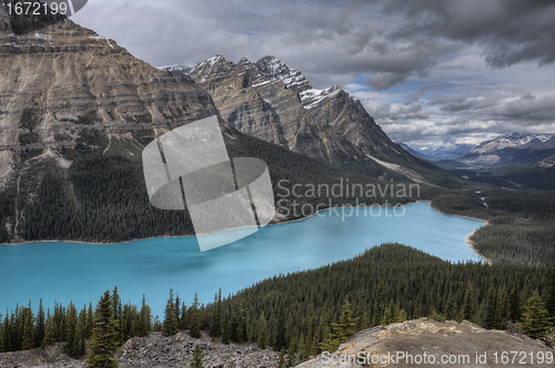 Image of Peyto Lake Alberta Canada