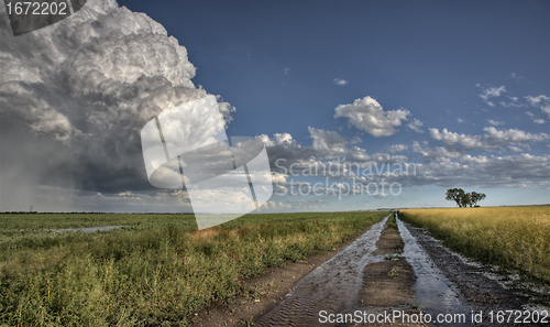 Image of Prairie Road Storm Clouds