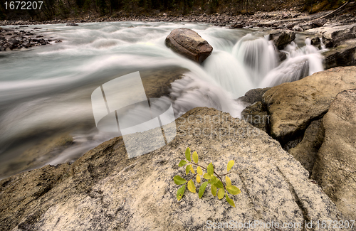 Image of Sunwapta Waterfall Alberta Canada