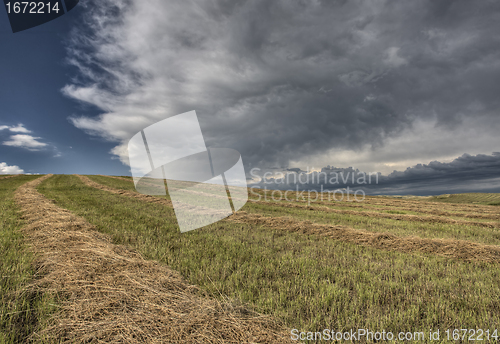 Image of Prairie Road Storm Clouds