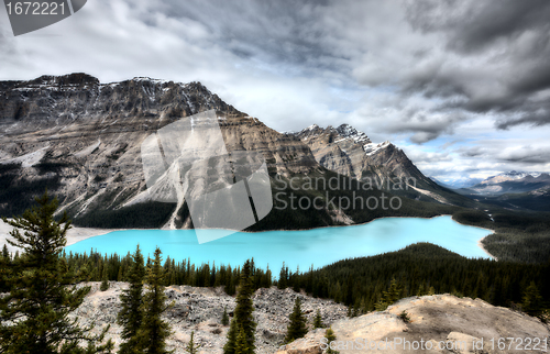 Image of Peyto Lake Alberta Canada