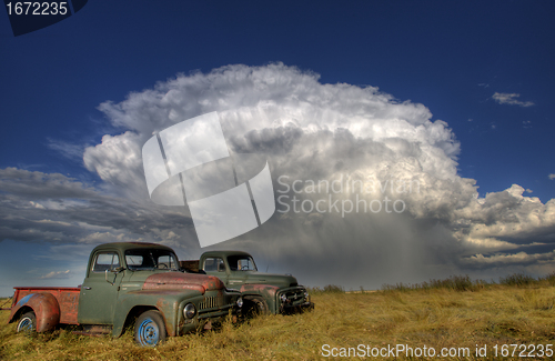 Image of Vintage Farm Trucks