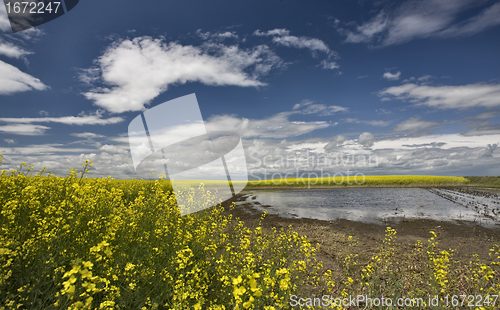 Image of Slough pond and crop