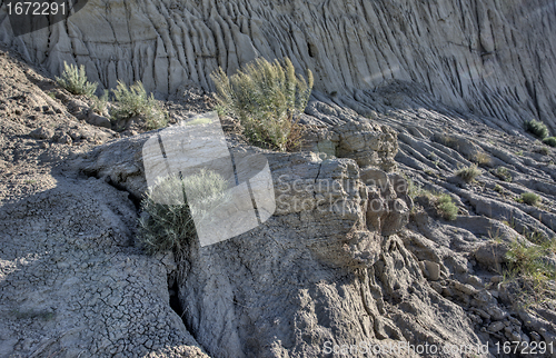 Image of Saskatchewan Big Muddy Badlands