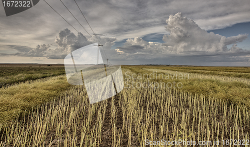 Image of Stubble Field and Prarie Storm