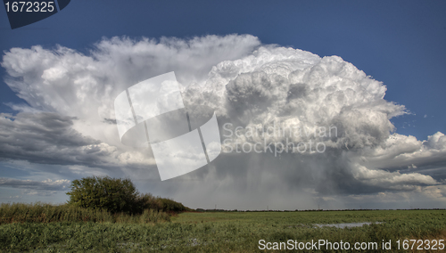 Image of Prairie Road Storm Clouds