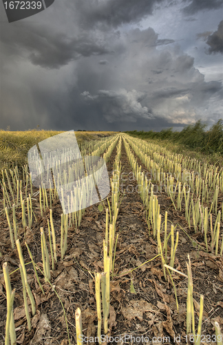 Image of Stubble Field and Prarie Storm