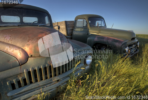 Image of Vintage Farm Trucks