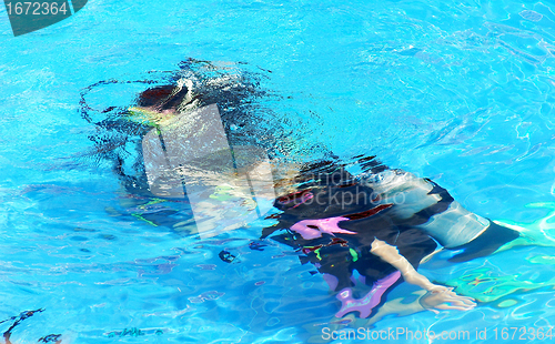 Image of Scuba in the sea