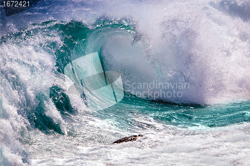 Image of Ocean wave 