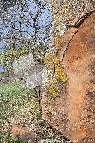 Image of sandstone boulder and tree