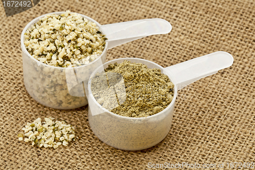 Image of hemp protein powder and seeds