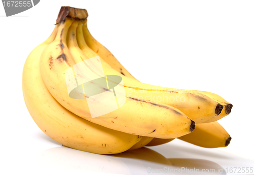 Image of Bunch of Bananas