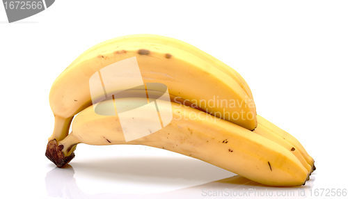 Image of Bunch of Bananas