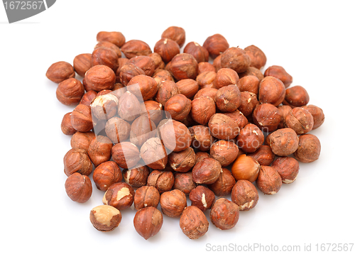 Image of Heap Purified Cobnuts