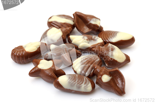 Image of Assorted Chocolate Candies