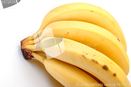 Image of Bunch of Bananas