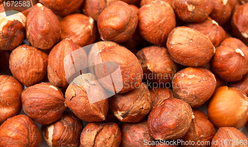 Image of Heap Purified Cobnuts