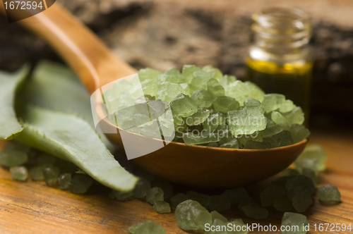 Image of Aloe vera with bath salt and massage oil