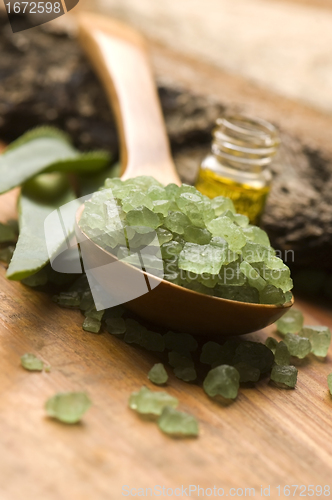 Image of Aloe vera with bath salt and massage oil