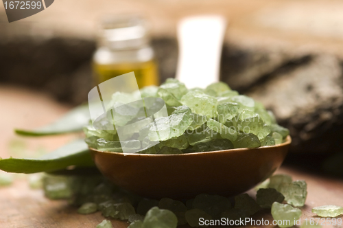 Image of Aloe vera with bath salt and massage oil