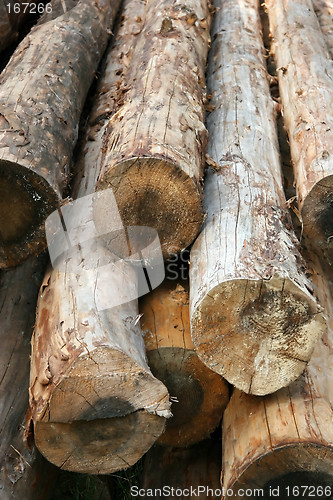 Image of Log