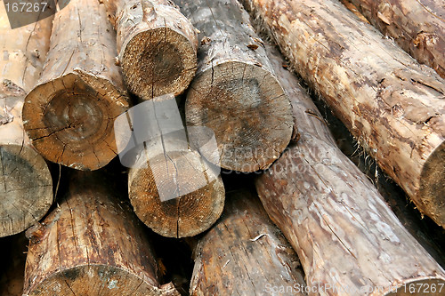 Image of Log