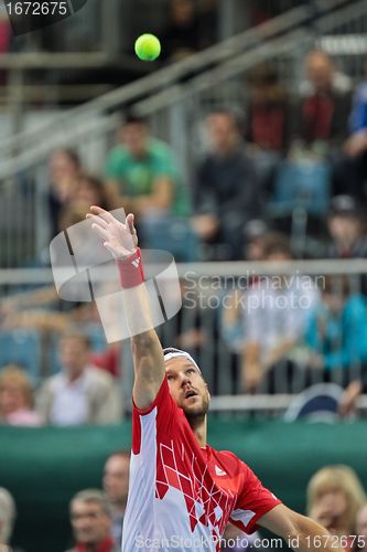 Image of Davis Cup Austria vs. Russia