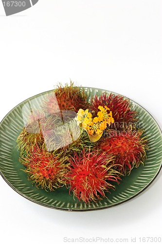 Image of Tropical rambutan